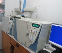 CG; cromatografia em fase gasosa; cromatografia a gás
